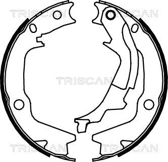 Triscan 8100 43022 - Комплект тормозных колодок, барабанные autodnr.net