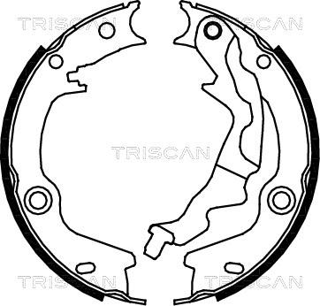 Triscan 8100 43023 - Комплект гальм, ручник, парковка autocars.com.ua