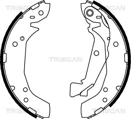 Triscan 8100 43025 - Комплект гальм, барабанний механізм autocars.com.ua