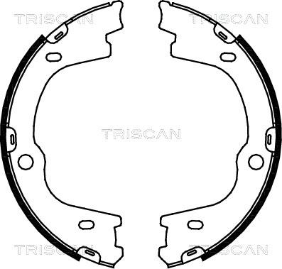 Triscan 8100 43026 - Комплект гальм, ручник, парковка autocars.com.ua