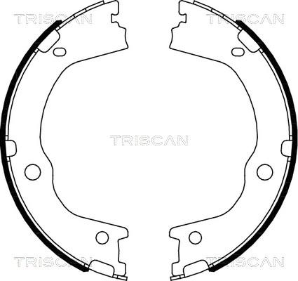 Triscan 8100 43027 - Комплект гальм, барабанний механізм autocars.com.ua