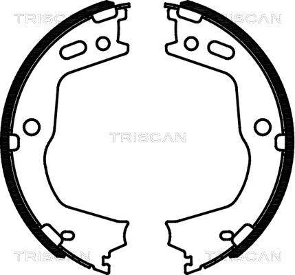 Triscan 8100 43028 - Комплект гальм, ручник, парковка autocars.com.ua