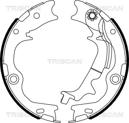 Triscan 8100 43029 - Комплект тормозов, ручник, парковка avtokuzovplus.com.ua