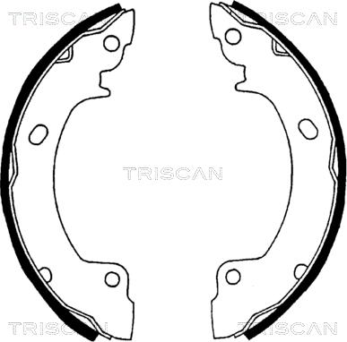 Triscan 8100 43529 - Комплект гальм, барабанний механізм autocars.com.ua