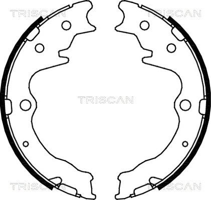 Triscan 8100 50003 - Комплект гальм, ручник, парковка autocars.com.ua