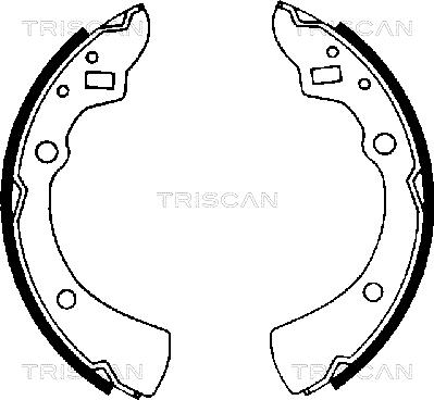 Triscan 8100 50359 - Комплект гальм, барабанний механізм autocars.com.ua