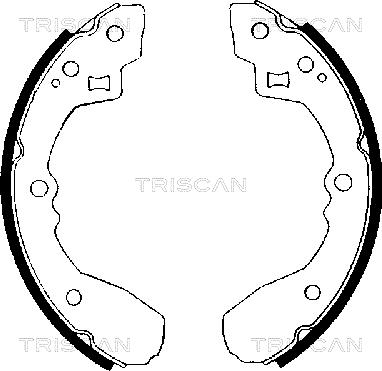 Triscan 8100 50406 - Комплект тормозных колодок, барабанные autodnr.net