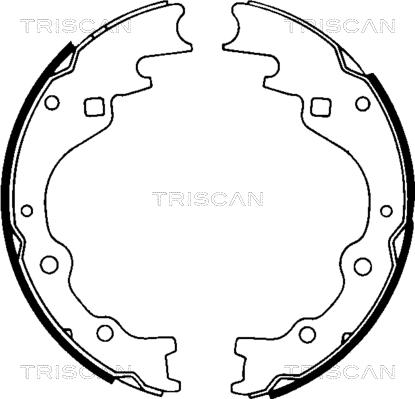 Triscan 8100 50461 - Комплект гальм, барабанний механізм autocars.com.ua