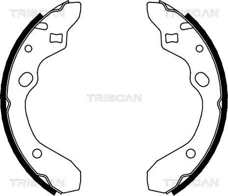 Triscan 8100 50546 - Комплект гальм, барабанний механізм autocars.com.ua