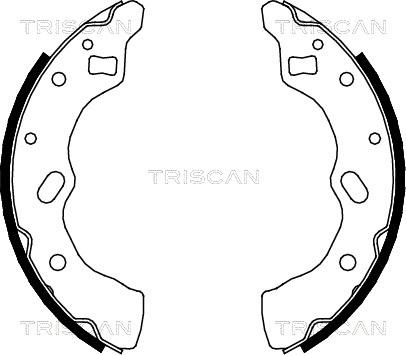 Triscan 8100 50556 - Комплект тормозных колодок, барабанные autodnr.net