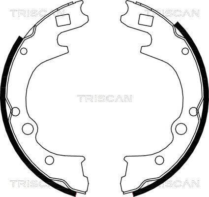 Triscan 8100 50604 - Комплект гальм, барабанний механізм autocars.com.ua