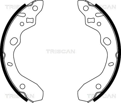 Triscan 8100 50611 - Комплект тормозных колодок, барабанные avtokuzovplus.com.ua