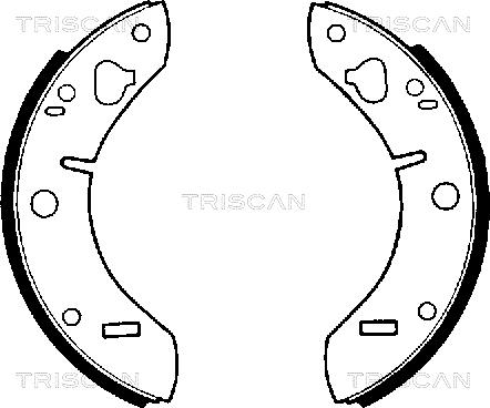 Triscan 8100 65011 - Комплект тормозных колодок, барабанные autodnr.net