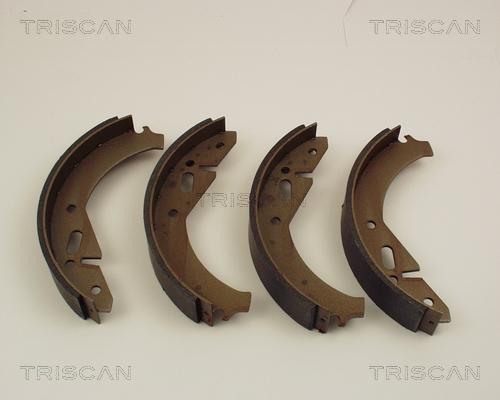 Triscan 8100 67305 - Комплект тормозных колодок, барабанные autodnr.net