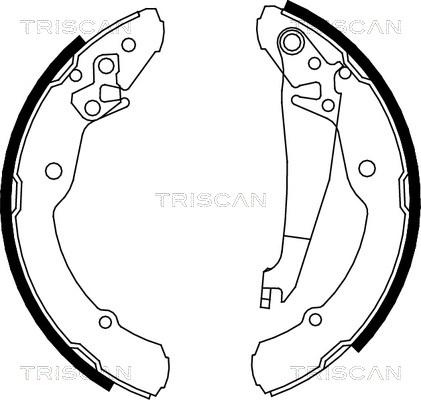 Triscan 8100 67631 - Комплект тормозных колодок, барабанные avtokuzovplus.com.ua