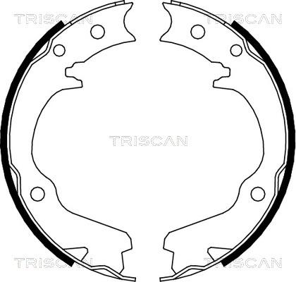 Triscan 8100 68001 - Комплект тормозных колодок, барабанные avtokuzovplus.com.ua