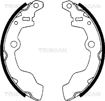 Triscan 8100 69002 - Комплект тормозных колодок, барабанные avtokuzovplus.com.ua