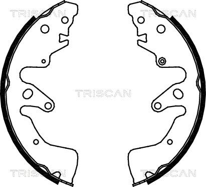 Triscan 8100 69004 - Комплект гальм, барабанний механізм autocars.com.ua