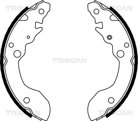 Triscan 8100 69007 - Комплект тормозных колодок, барабанные avtokuzovplus.com.ua