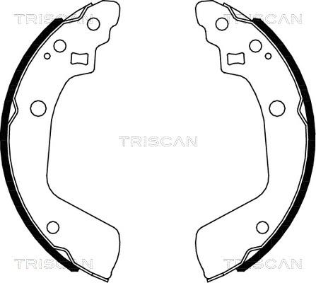 Triscan 8100 69008 - Комплект гальм, барабанний механізм autocars.com.ua