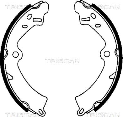 Triscan 8100 69473 - Комплект тормозных колодок, барабанные avtokuzovplus.com.ua