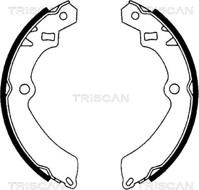 Triscan 8100 69511 - Комплект гальм, барабанний механізм autocars.com.ua