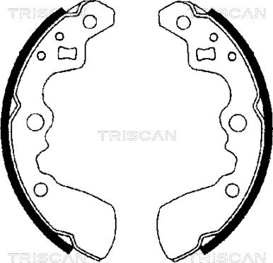 Triscan 8100 69550 - Комплект тормозных колодок, барабанные avtokuzovplus.com.ua