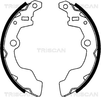 Triscan 8100 69567 - Комплект тормозных колодок, барабанные avtokuzovplus.com.ua