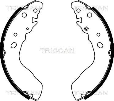 Triscan 8100 69584 - Комплект гальм, барабанний механізм autocars.com.ua
