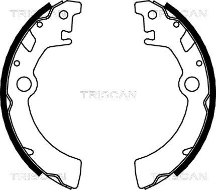 Triscan 8100 69600 - Комплект тормозных колодок, барабанные avtokuzovplus.com.ua