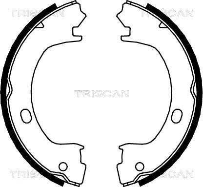 Triscan 8100 80003 - Комплект гальм, ручник, парковка autocars.com.ua