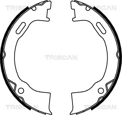 Triscan 8100 80006 - Комплект гальм, ручник, парковка autocars.com.ua