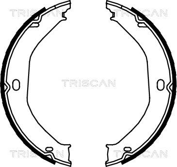 Triscan 8100 80008 - Комплект гальм, ручник, парковка autocars.com.ua
