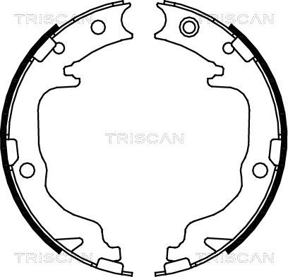 Triscan 8100 80010 - Комплект гальм, ручник, парковка autocars.com.ua