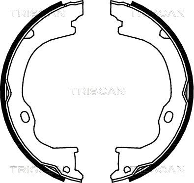 Triscan 8100 80011 - Комплект гальм, ручник, парковка autocars.com.ua