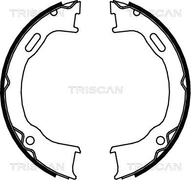 Triscan 8100 80012 - Комплект гальм, ручник, парковка autocars.com.ua