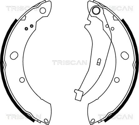 Triscan 8100 80013 - Комплект тормозных колодок, барабанные autodnr.net