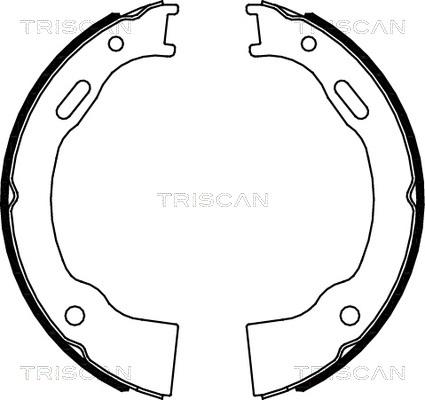 Triscan 8100 80014 - Комплект гальм, ручник, парковка autocars.com.ua