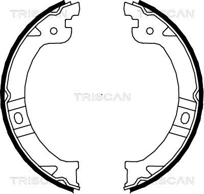 Triscan 8100 80015 - Комплект гальм, ручник, парковка autocars.com.ua