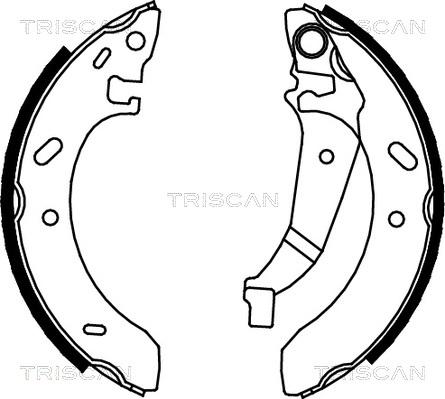 Triscan 8100 80016 - Комплект тормозных колодок, барабанные autodnr.net