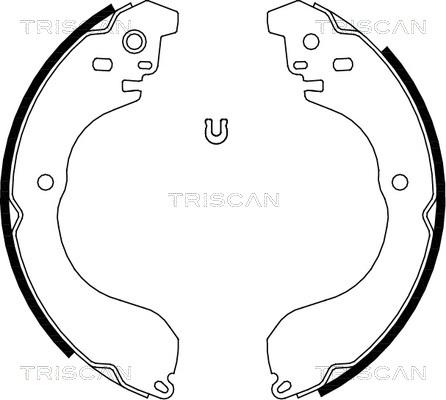 Triscan 8100 80017 - Комплект тормозных колодок, барабанные autodnr.net