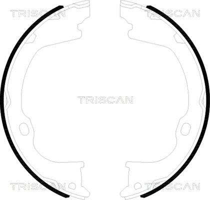 Triscan 8100 80019 - Комплект гальм, ручник, парковка autocars.com.ua