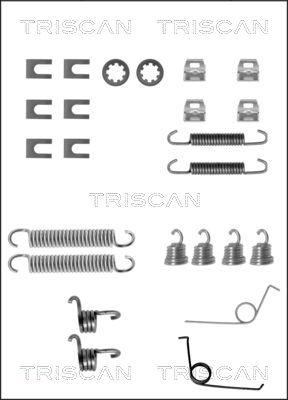 Triscan 8105 102498 - Комплектующие, барабанный тормозной механизм avtokuzovplus.com.ua