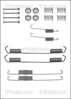 Triscan 8105 102550 - Комплектующие, барабанный тормозной механизм avtokuzovplus.com.ua