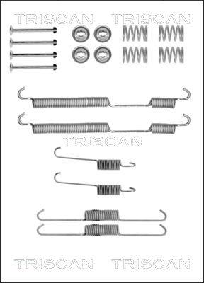 Triscan 8105 102580 - Комплектующие, барабанный тормозной механизм avtokuzovplus.com.ua