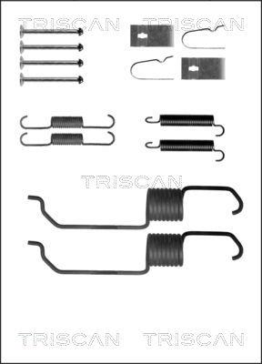 Triscan 8105 102591 - Комплектующие, барабанный тормозной механизм avtokuzovplus.com.ua