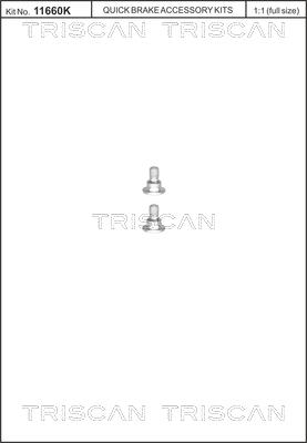 Triscan 8105 116001 - Комплект болтів, гальмівний диск autocars.com.ua