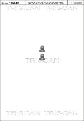Triscan 8105 116002 - Комплект болтів, гальмівний диск autocars.com.ua
