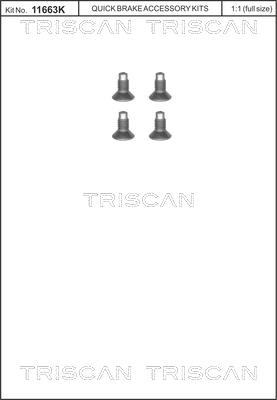 Triscan 8105 116004 - Комплект болтов, тормозной диск avtokuzovplus.com.ua