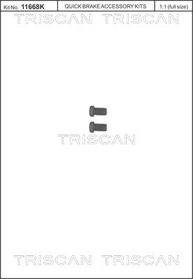 Triscan 8105 116009 - Комплект болтів, гальмівний диск autocars.com.ua